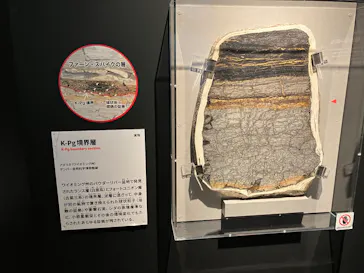 特別展「大絶滅展―生命史のビッグファイブ」に投稿された画像（2026/2/18）