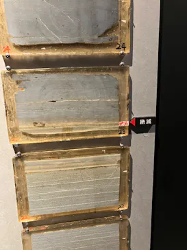 特別展「大絶滅展―生命史のビッグファイブ」に投稿された画像（2026/2/18）