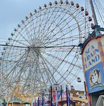 名古屋港シートレインランドに投稿された画像（2026/2/18）