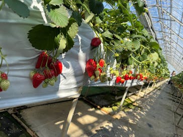 お陽様農園に投稿された画像（2026/2/18）