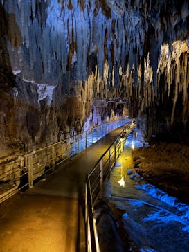 おきなわワールドに投稿された画像（2026/2/16）