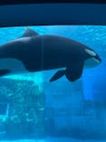 名古屋港水族館に投稿された画像（2026/2/18）