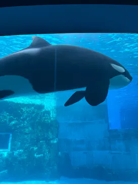 名古屋港水族館に投稿された画像（2026/2/18）