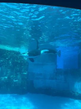 名古屋港水族館に投稿された画像（2026/2/18）