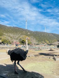 伊豆アニマルキングダムに投稿された画像（2026/2/18）