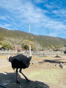 伊豆アニマルキングダムに投稿された画像（2026/2/18）