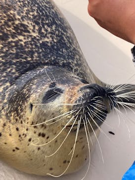 越前松島水族館に投稿された画像（2026/2/18）