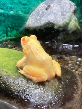 越前松島水族館に投稿された画像（2026/2/18）