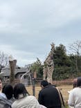 天王寺動物園に投稿された画像（2026/2/18）