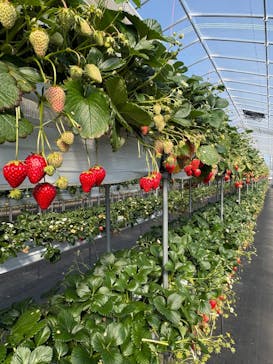 ニューベリーに投稿された画像（2026/2/18）