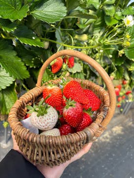 ニューベリーに投稿された画像（2026/2/18）