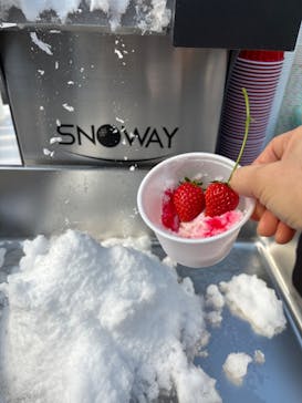 ニューベリーに投稿された画像（2026/2/18）