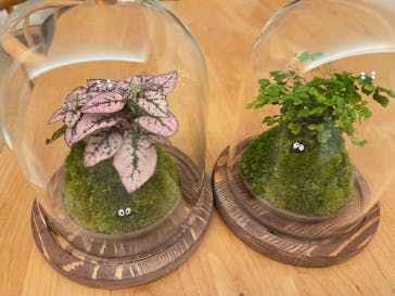 カルチャースクールいろはに投稿された画像（2026/2/18）