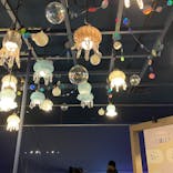 すみだ水族館に投稿された画像（2026/2/19）