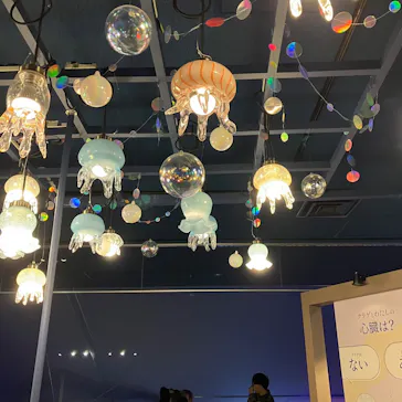 すみだ水族館に投稿された画像（2026/2/18）