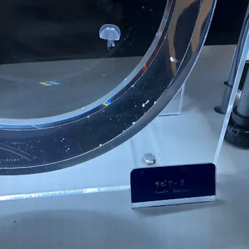 すみだ水族館に投稿された画像（2026/2/18）