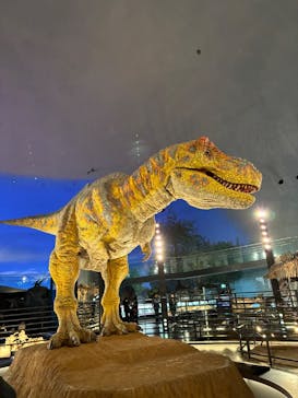 福井県立恐竜博物館に投稿された画像（2026/2/18）