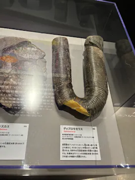 特別展「大絶滅展―生命史のビッグファイブ」に投稿された画像（2026/2/19）