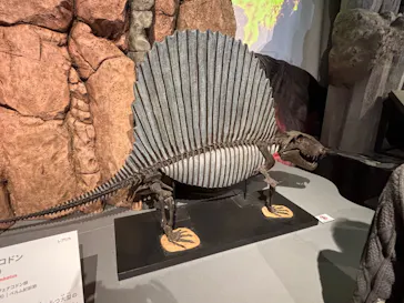 特別展「大絶滅展―生命史のビッグファイブ」に投稿された画像（2026/2/19）