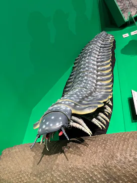 特別展「大絶滅展―生命史のビッグファイブ」に投稿された画像（2026/2/19）