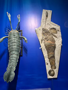 特別展「大絶滅展―生命史のビッグファイブ」に投稿された画像（2026/2/19）