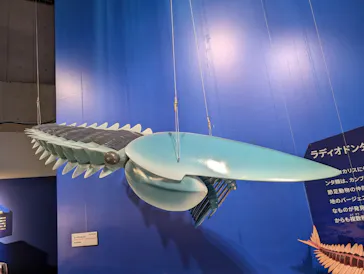 特別展「大絶滅展―生命史のビッグファイブ」に投稿された画像（2026/2/19）