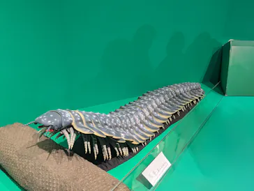 特別展「大絶滅展―生命史のビッグファイブ」に投稿された画像（2026/2/19）