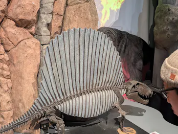 特別展「大絶滅展―生命史のビッグファイブ」に投稿された画像（2026/2/19）