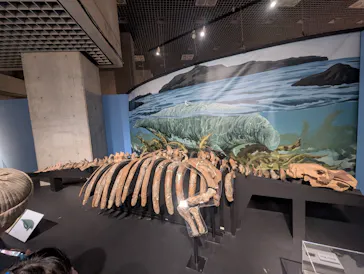 特別展「大絶滅展―生命史のビッグファイブ」に投稿された画像（2026/2/19）