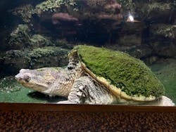 体感型動物園iZooに投稿された画像（2026/2/19）