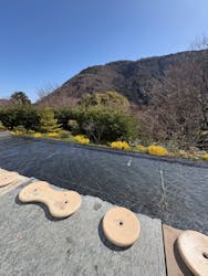 彫刻の森美術館に投稿された画像（2026/2/19）