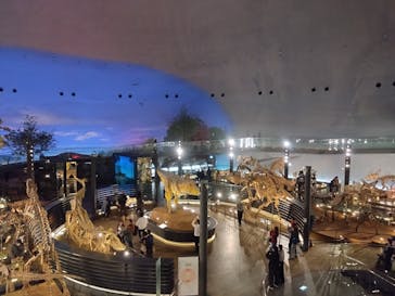 福井県立恐竜博物館に投稿された画像（2026/2/19）