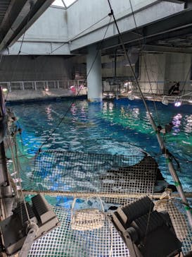 マクセル アクアパーク品川に投稿された画像（2026/2/19）