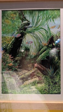 みろくの里に投稿された画像（2026/2/19）