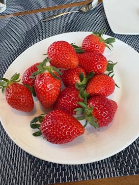 東京ジョイポリスに投稿された画像（2026/2/19）