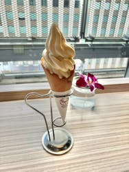 タイムズ スパ・レスタに投稿された画像（2026/2/19）