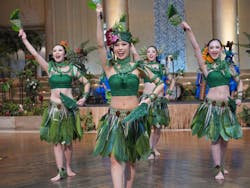 スパリゾートハワイアンズに投稿された画像（2026/2/19）