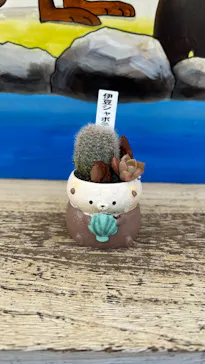 伊豆シャボテン動物公園に投稿された画像（2026/2/19）