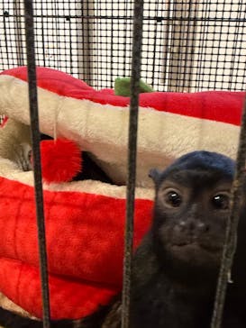 アニタッチみなとみらいに投稿された画像（2026/2/19）