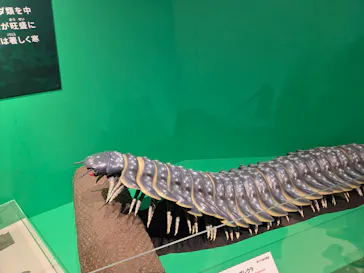 特別展「大絶滅展―生命史のビッグファイブ」に投稿された画像（2026/2/19）