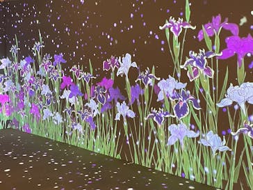 動き出す浮世絵展 OSAKAに投稿された画像（2026/2/19）