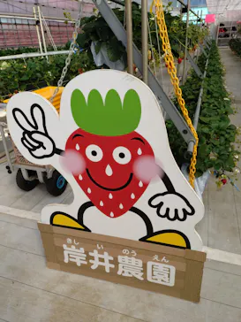 岸井農園に投稿された画像（2026/2/19）