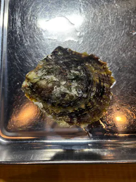 三重県真珠に投稿された画像（2026/2/19）