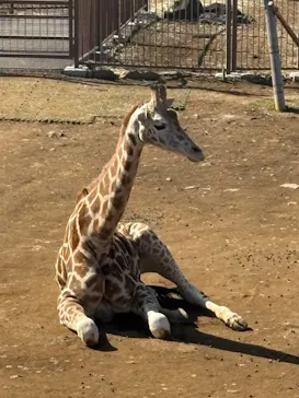 伊豆シャボテン動物公園に投稿された画像（2026/2/19）