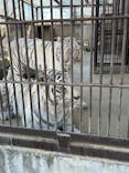 宇都宮動物園に投稿された画像（2026/2/19）