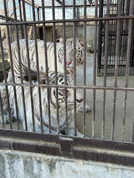 宇都宮動物園に投稿された画像（2026/2/19）
