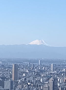 東京タワーに投稿された画像（2026/2/19）