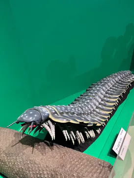 特別展「大絶滅展―生命史のビッグファイブ」に投稿された画像（2026/2/19）