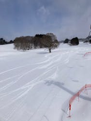 大仙市営協和スキー場に投稿された画像（2026/2/19）