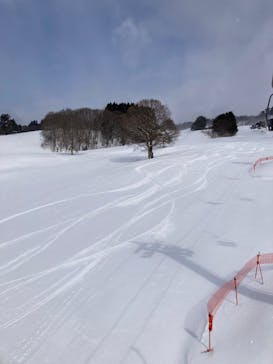 大仙市営協和スキー場に投稿された画像（2026/2/19）